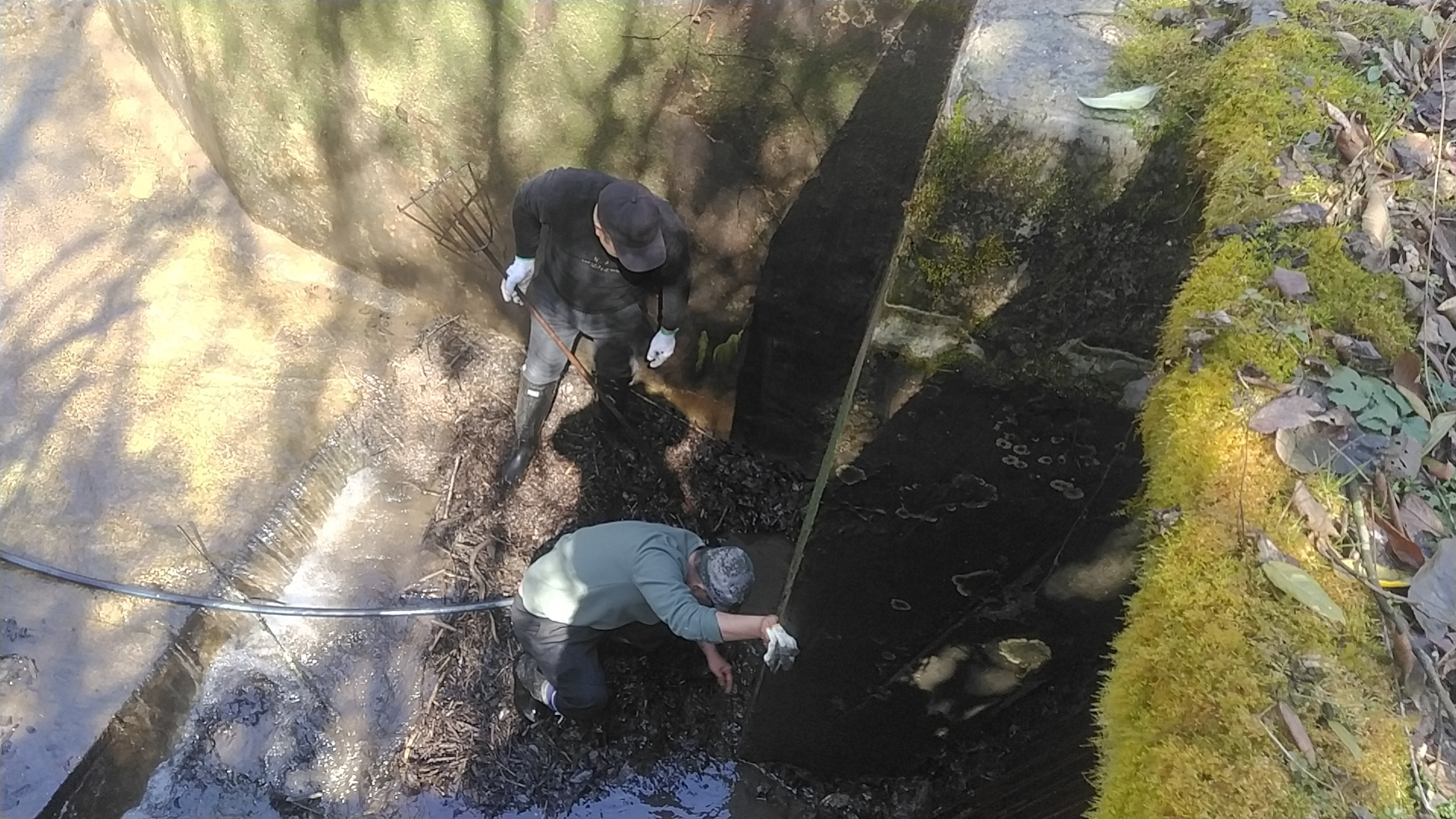 圖片2.png 圖片2.png