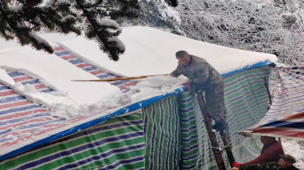 圖片1.png 圖片1.png