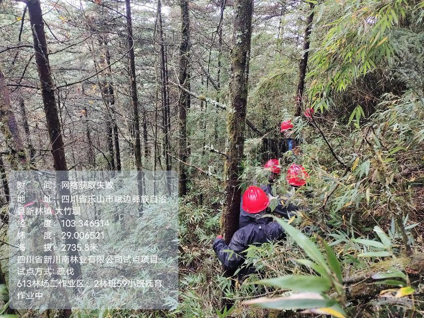 圖片2.png 圖片2.png