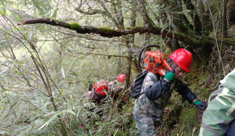 圖片4.png 圖片4.png