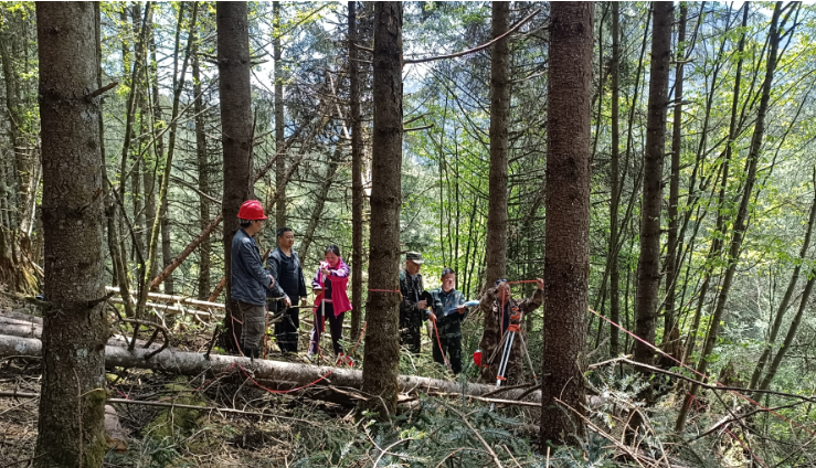 圖片5.png 圖片5.png