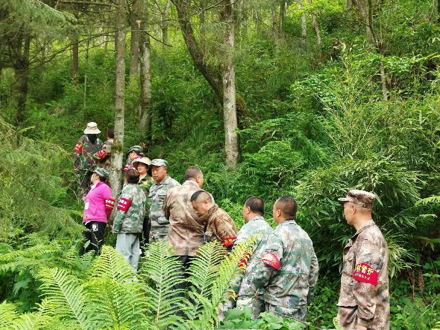 圖片2.png 圖片2.png